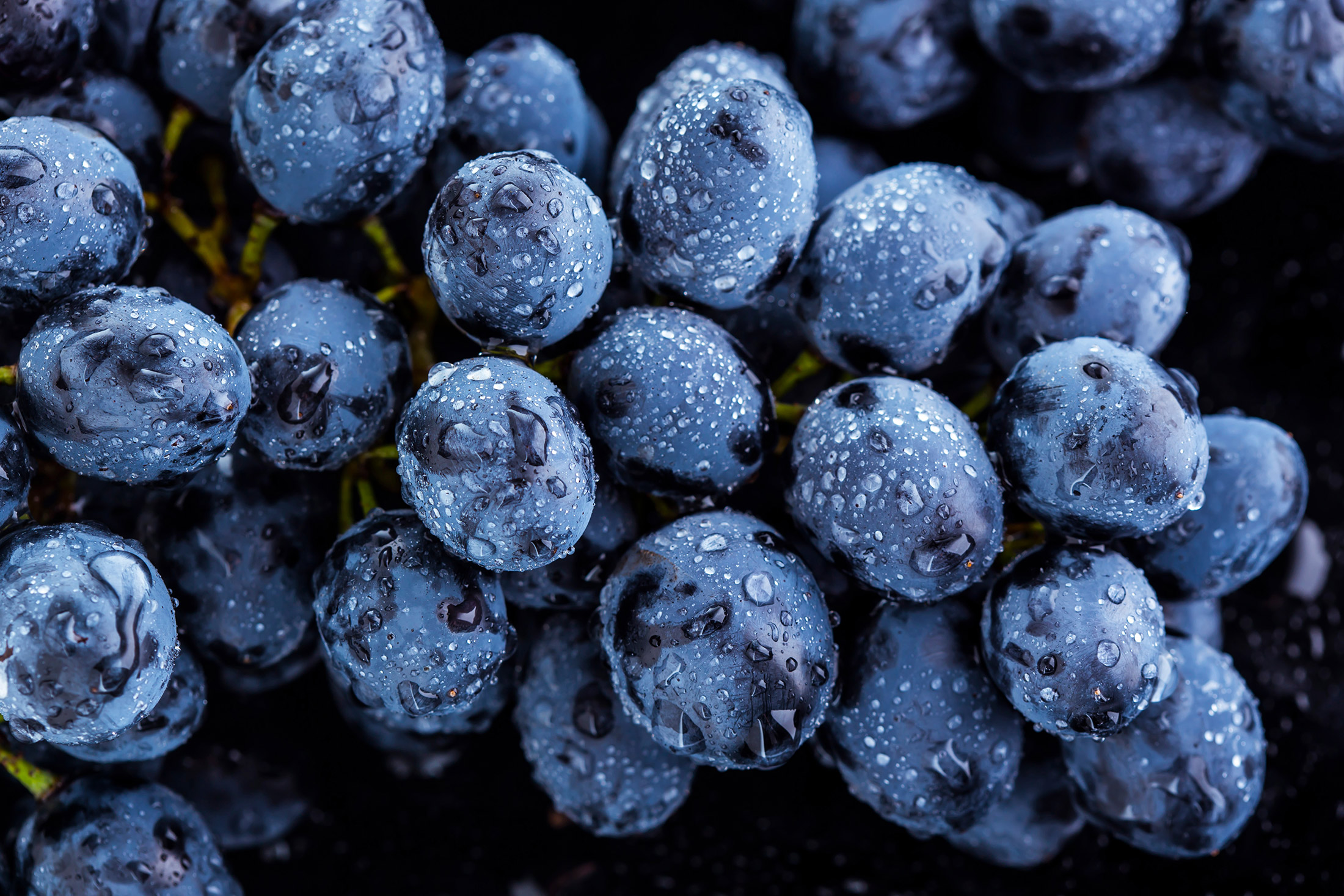 uvas